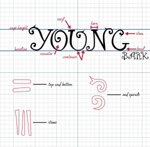 Typeface- Young Bark